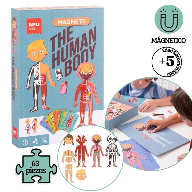 Juego educativo magnets Cuerpo humano