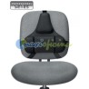 Cojín lumbar ergonómico Fellowes Professional Series